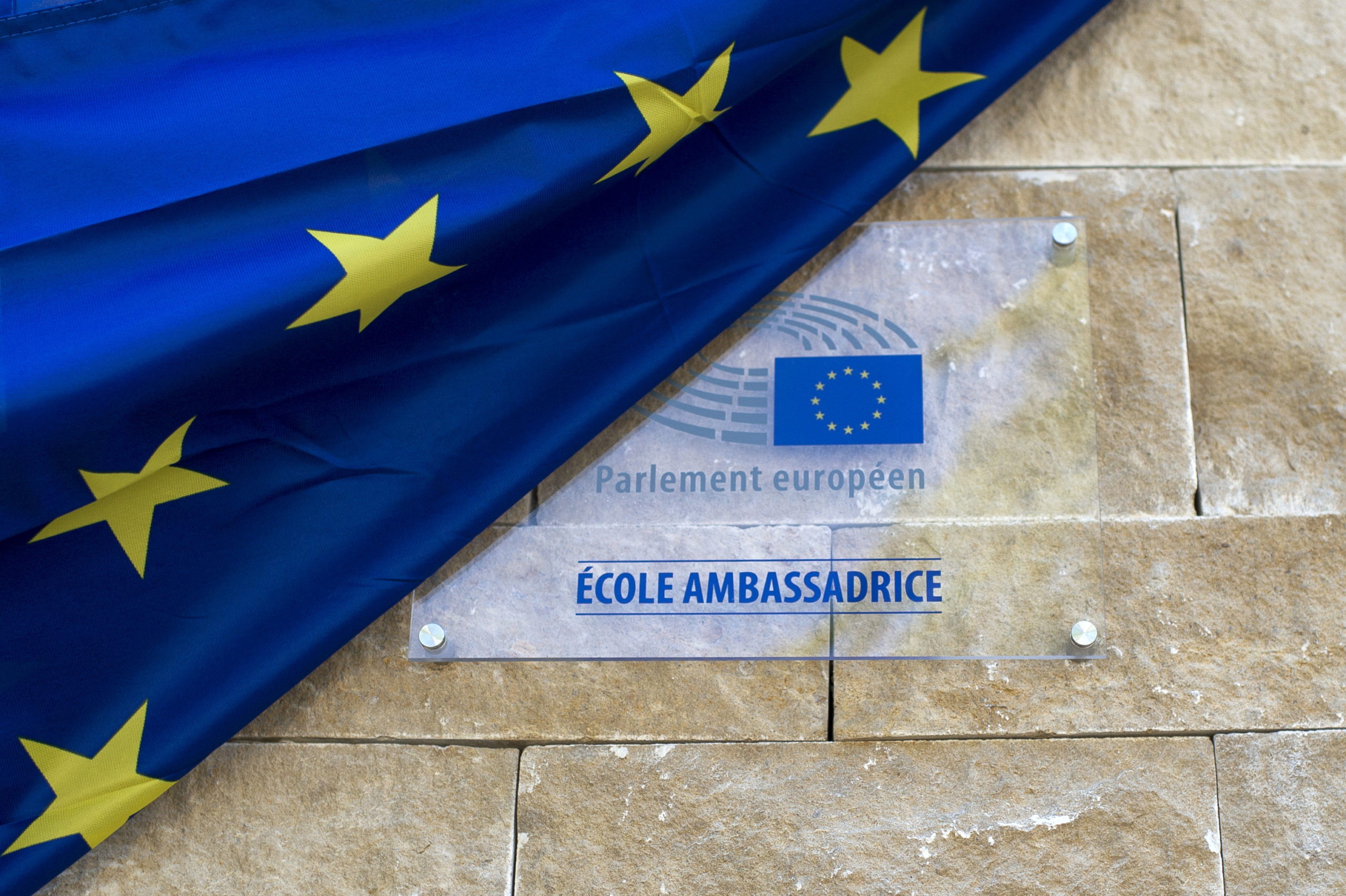 Programme Ecole Ambassadrice Lycee Camille Claudel De Lyon