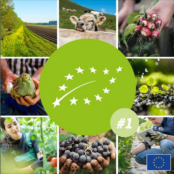 Screenshot 2021 03 23 1 #bio Comment L’union Européenne Façonne Le Marché Du Bio, Avec Le Commissaire Wojciechowski