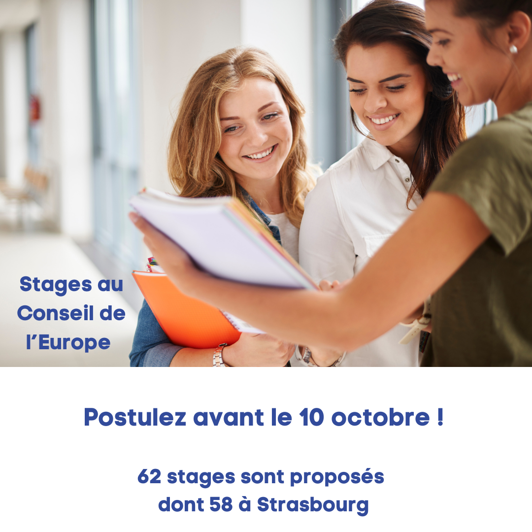 Un Stage Au Sein D’une Institution, D’une Agencestages Conseil De L'europe